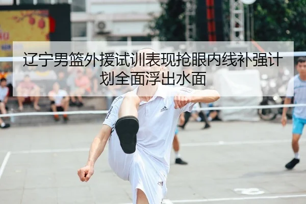 辽宁男篮外援试训表现抢眼内线补强计划全面浮出水面