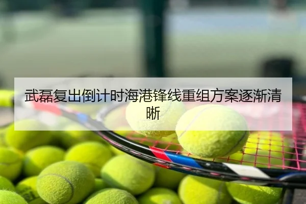 武磊复出倒计时海港锋线重组方案逐渐清晰